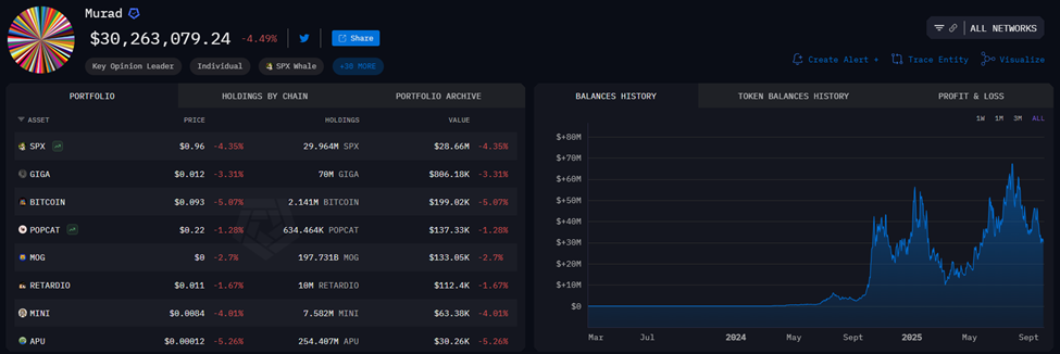 Murad&rsquo;s Portfolio